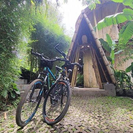 The Nude House Villa Selat Екстериор снимка