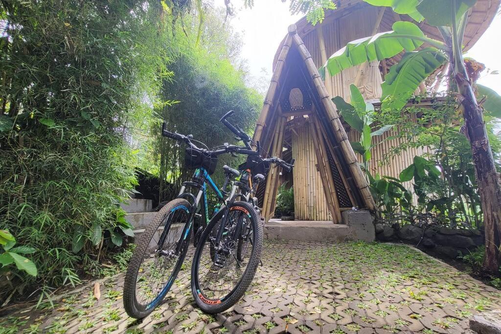 The Nude House Villa Selat Екстериор снимка
